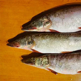 Гефилте фиш – фаршированная рыба (Gefilte Fish)