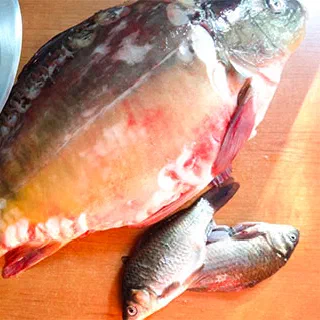 Халасле – венгерский рыбный суп (Hungarian fish soup – Halaszle)