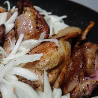 Индейка по-каталонски (Pavo a la Catalana)