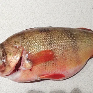 Речной окунь запеченный в чешуе (River Bass Baked in Scales)